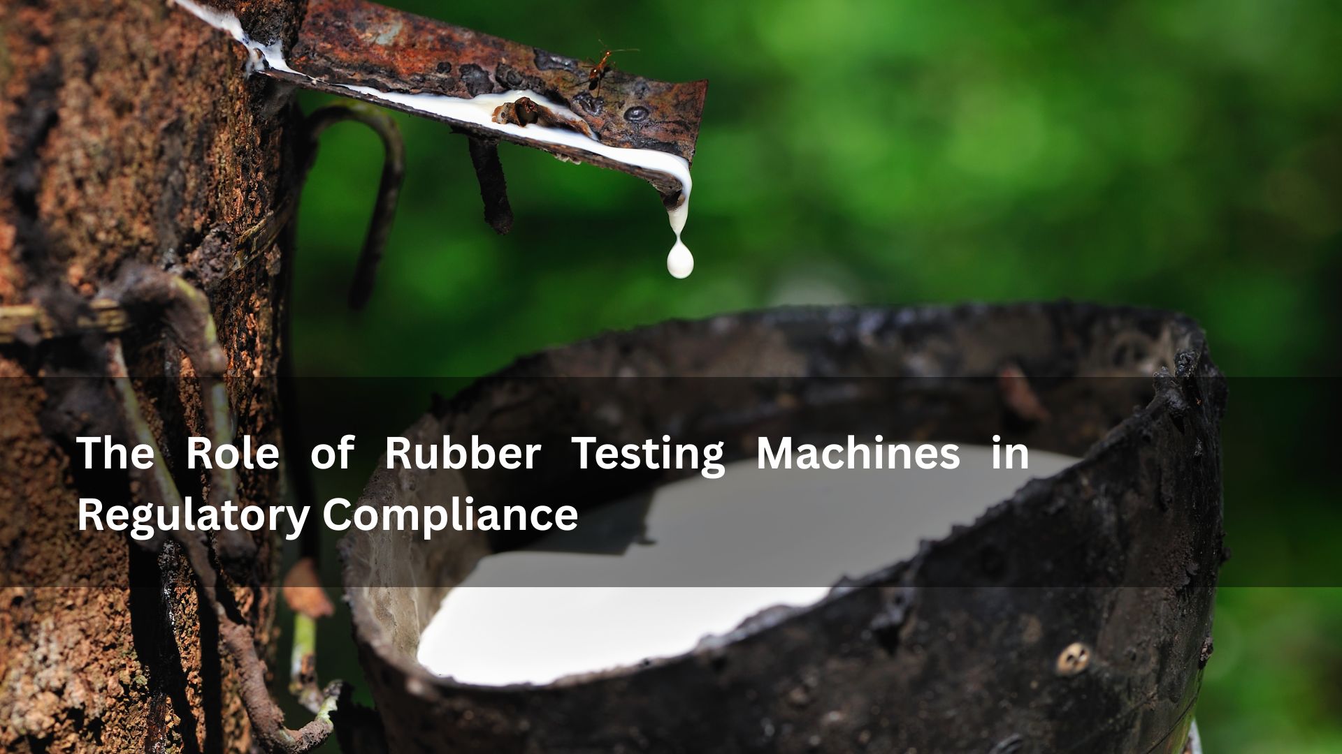 rubber testing machine